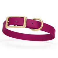 dark pink/magenta and gold biothane waterproof dog and cat collar with brass metal buckle hardware in size medium that's 3/4 inch wide and looks like vegan faux leather.