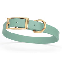 sage green and gold biothane waterproof dog and cat collar with brass metal buckle hardware in size medium that's 3/4 inch wide and looks like vegan faux leather.