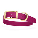 magenta/dark pink and gold biothane waterproof dog and cat collar with brass metal buckle hardware in size extra large that's 1 inch wide, 22-25" long and looks like vegan faux leather.