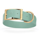 sage green and gold biothane waterproof dog and cat collar with brass metal buckle hardware in size XXL that's 1.5 inches wide, 24-28" long and looks like vegan faux leather.