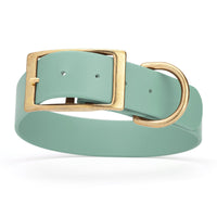 sage green and gold biothane waterproof dog and cat collar with brass metal buckle hardware in size XXL that's 1.5 inches wide, 24-28" long and looks like vegan faux leather.