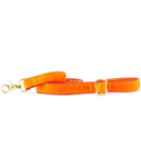 Orange Velvet Dog Leash (1″ Only)