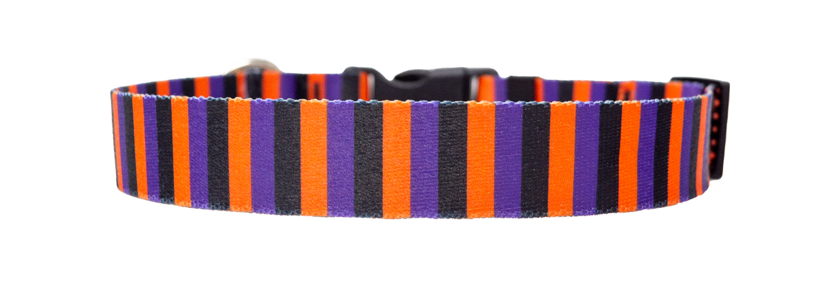 Witchy Stripes Pet Collar