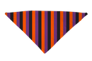 Witchy Stripes Dog Bandana