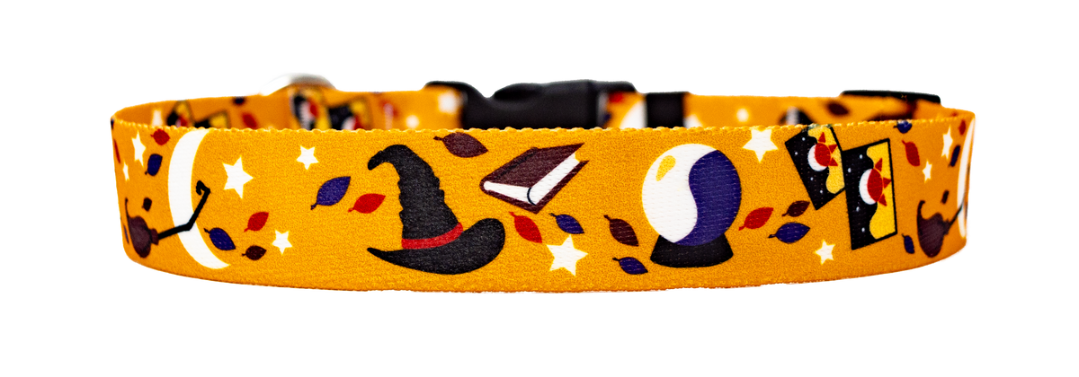 Witchy Ways Pet Collar