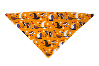 Witchy Ways Dog Bandana