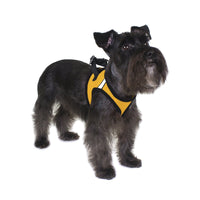 York Mesh Pet Harness