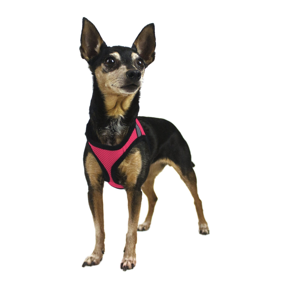York Mesh Pet Harness
