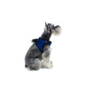 York Mesh Pet Harness