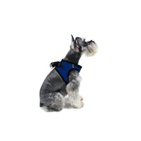 York Mesh Pet Harness