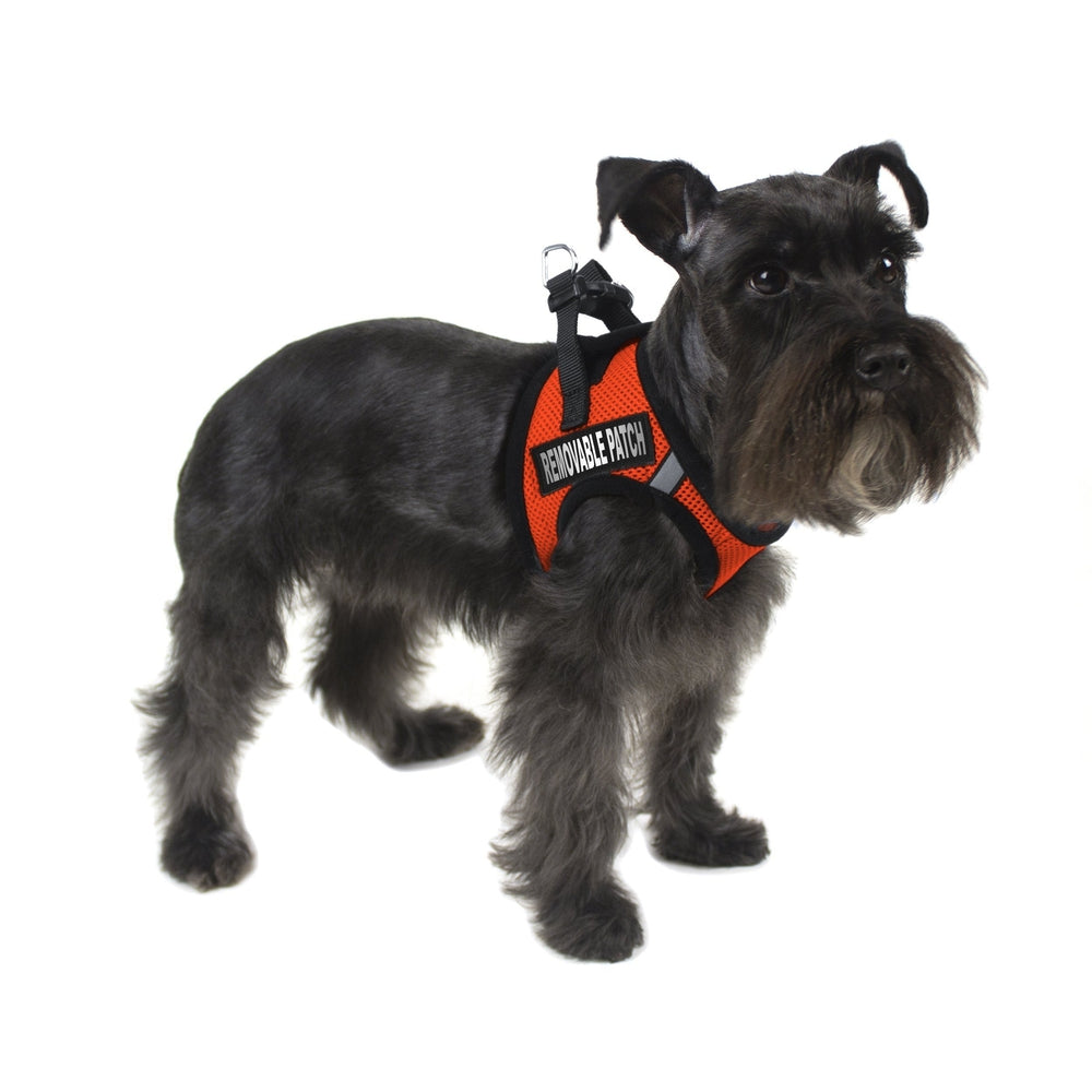 York Mesh Pet Harness  - 2 Hook & Loop Patch Fasteners