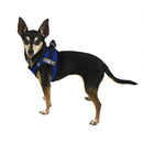 York Mesh Pet Harness  - 2 Hook & Loop Patch Fasteners