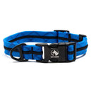Adventure Dog Collar - Blues