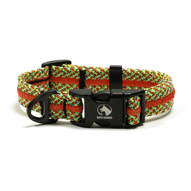 Adventure Dog Collar - Multicolor