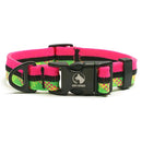 Adventure Dog Collar - Multicolor
