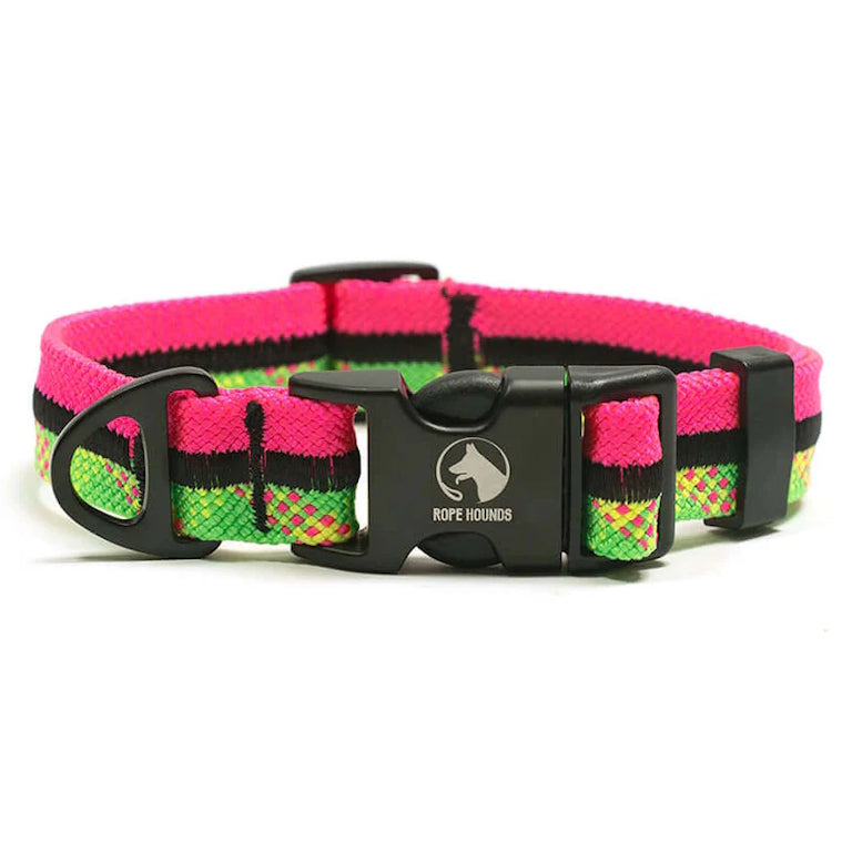 Adventure Dog Collar - Multicolor