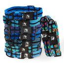 Adventure Dog Collar - Blues