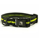 Adventure Dog Collar - Neutrals
