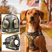 Choke-Free Dog Harness: Camouflage - American River