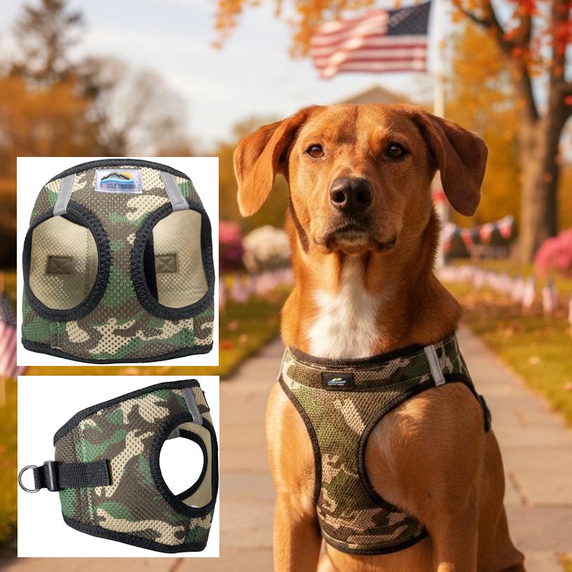 Choke-Free Dog Harness: Camouflage - American River
