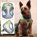 Choke-Free Dog Harness: Ombre Collection - American River
