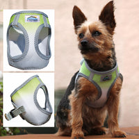 Choke-Free Dog Harness: Ombre Collection - American River