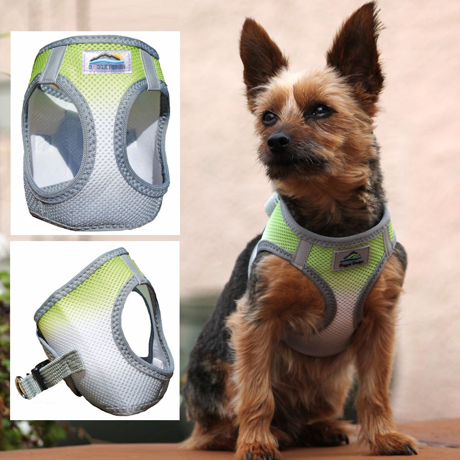 Choke-Free Dog Harness: Ombre Collection - American River