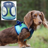 Choke-Free Dog Harness: Ombre Collection - American River