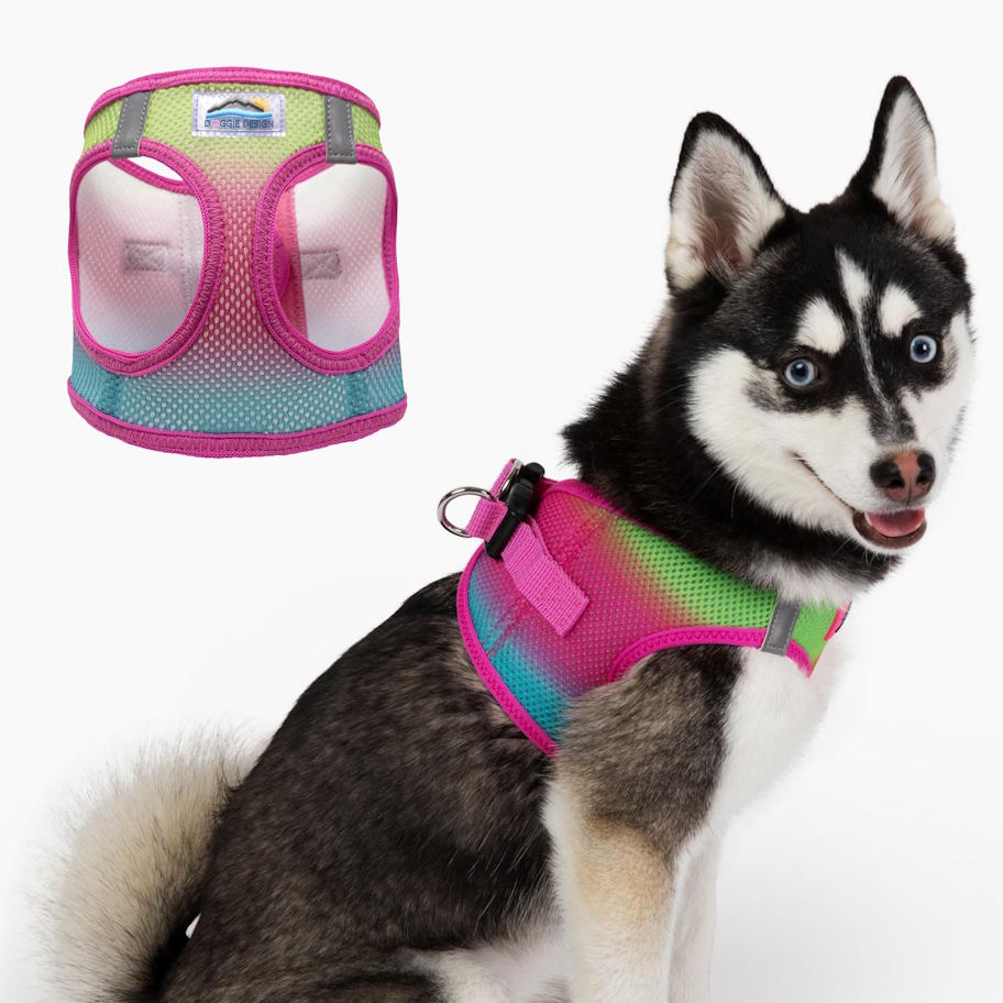 Choke-Free Dog Harness: Ombre Collection - American River