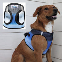 Choke-Free Dog Harness: Ombre Collection - American River