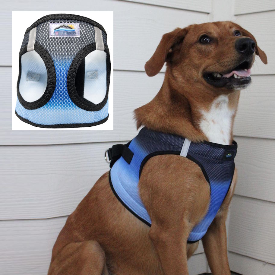 Choke-Free Dog Harness: Ombre Collection - American River