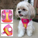 Choke-Free Dog Harness: Ombre Collection - American River
