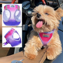 Choke-Free Dog Harness: Ombre Collection - American River