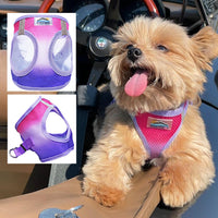 Choke-Free Dog Harness: Ombre Collection - American River