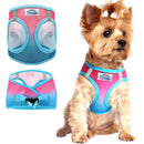 Choke-Free Dog Harness: Ombre Collection - American River