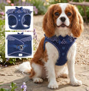 Choke-Free Dog Harness: Polka Dots - American River