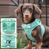 Choke-Free Dog Harness: Polka Dots - American River