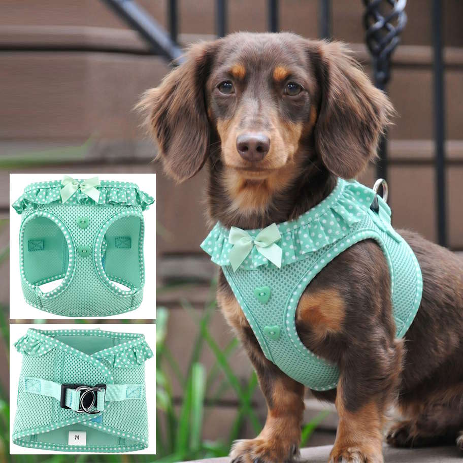 Choke-Free Dog Harness: Polka Dots - American River
