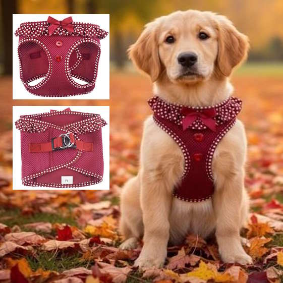 Choke-Free Dog Harness: Polka Dots - American River