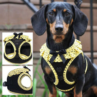 Choke-Free Dog Harness: Polka Dots - American River