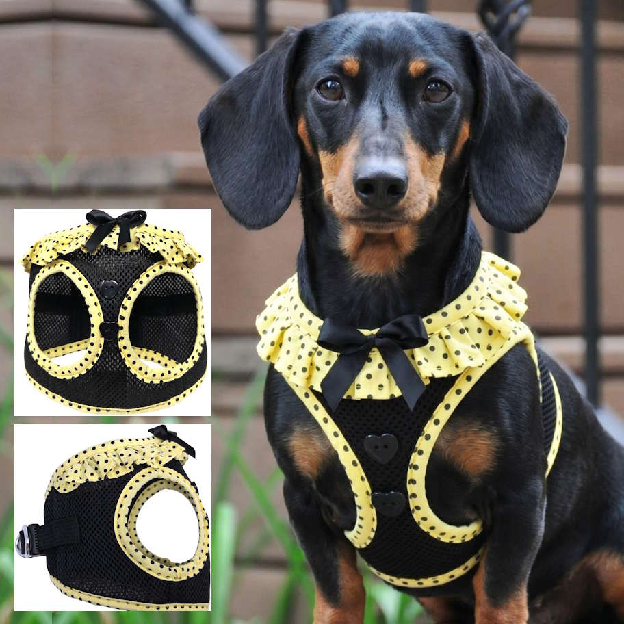 Choke-Free Dog Harness: Polka Dots - American River