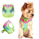 Choke-Free Dog Harness: Ombre Collection - American River