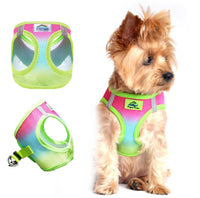 Choke-Free Dog Harness: Ombre Collection - American River