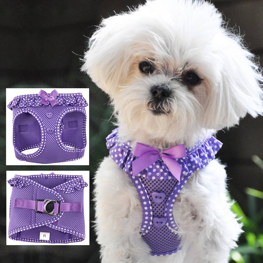 Choke-Free Dog Harness: Polka Dots - American River
