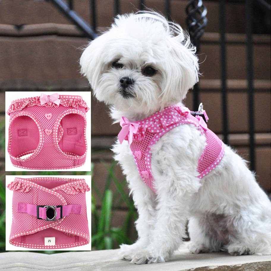 Pink / 2XS