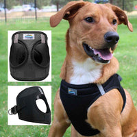 Choke-Free Dog Harness: Solid Color - American River