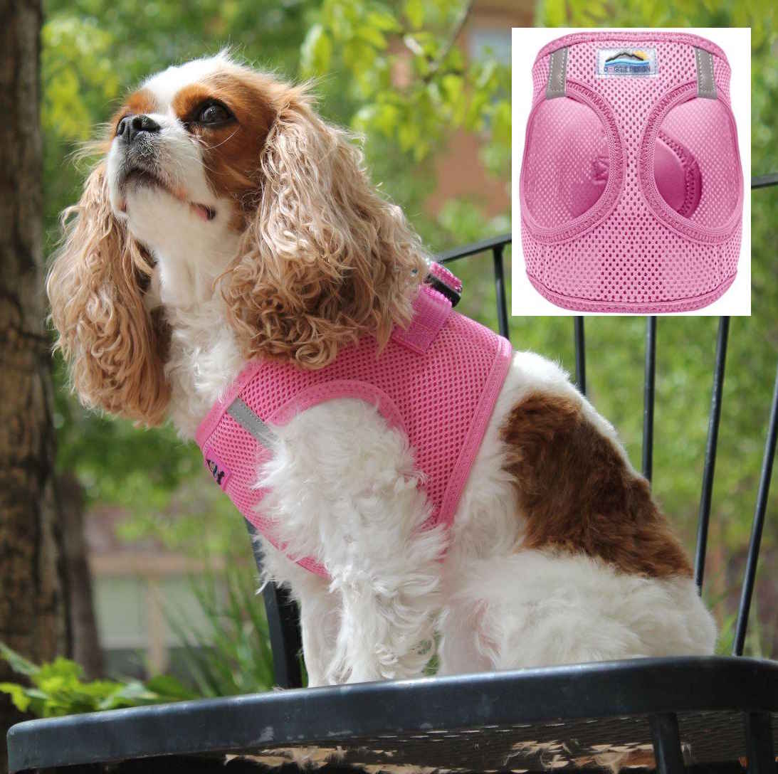 Choke-Free Dog Harness: Solid Color - American River