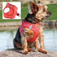 Choke-Free Dog Harness: Solid Color - American River