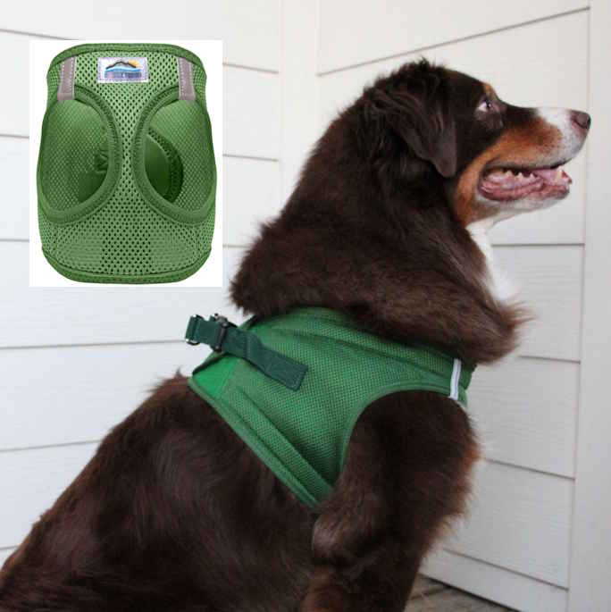 Forest Green / 2XS