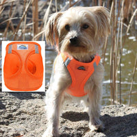 Choke-Free Dog Harness: Solid Color - American River